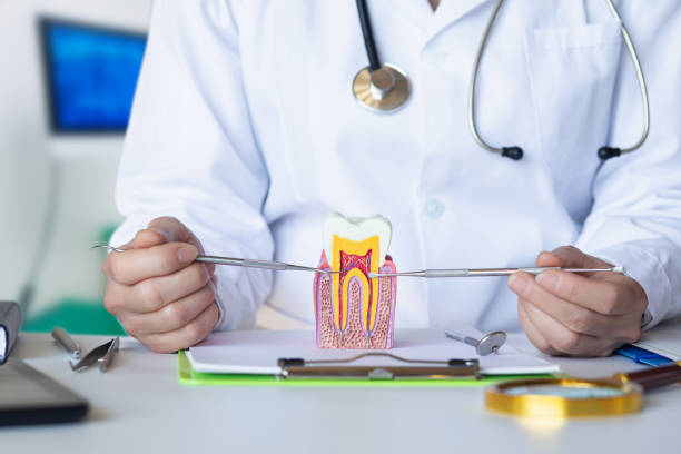 Best Emergency Dentist for Knocked-Out Tooth in Oak Brook, IL